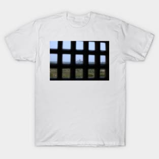 A Prisoners view of the Taj Mahal T-Shirt